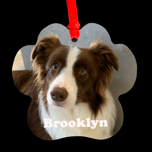 Personalised Aluminium Dog Paw Ornament - Photograph