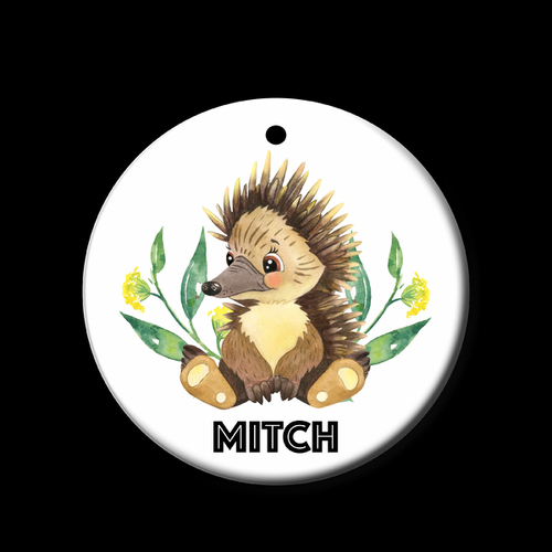 Personalised Ceramic Ornament- Echidna Bush Baby 