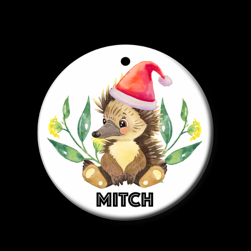 Personalised Ceramic Ornament- Echidna Christmas Bush Baby 