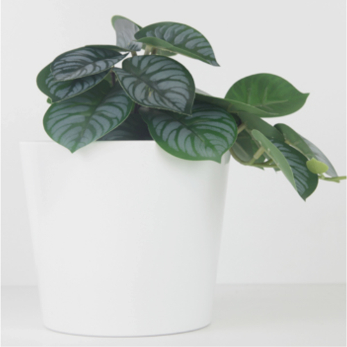 Personalised Flower Planter Pot - Design your own